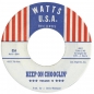 Preview: Keep On Chooglin' - Vol. 15/Gumbo Jones CD